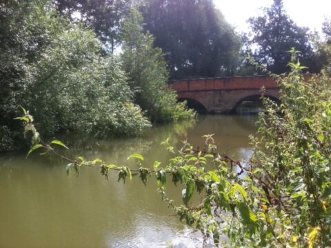 Betchworth, River Mole