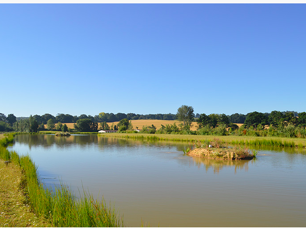 Orchard Place Farm