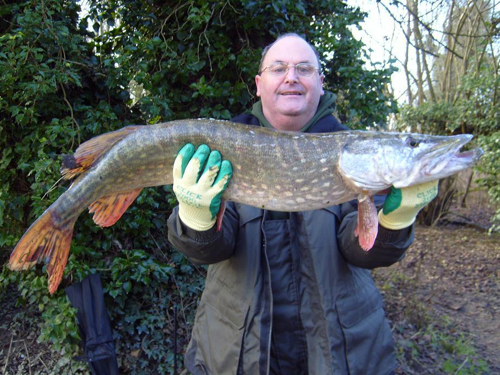 specimen fish